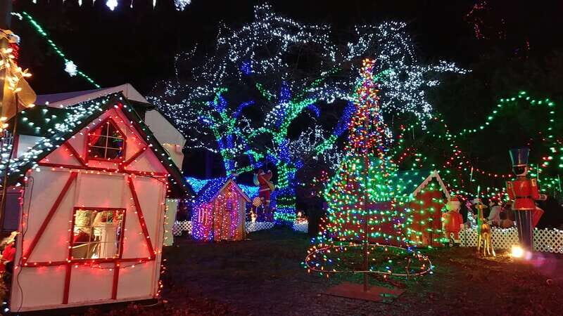 Vancouver: Christmas Tour with Light Festival Entrance - An Overview of What Youll Experience