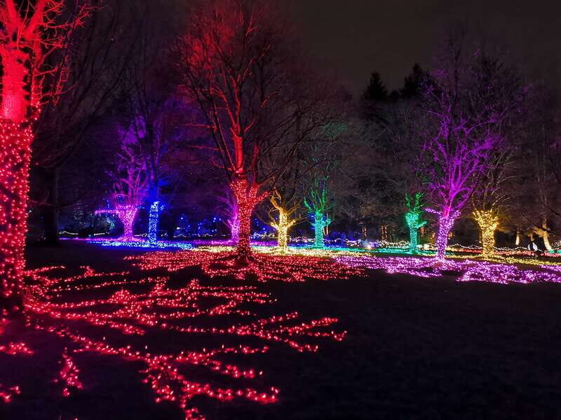 Vancouver: Christmas Tour with Light Festival Entrance - Final Thoughts on the Tour’s Value