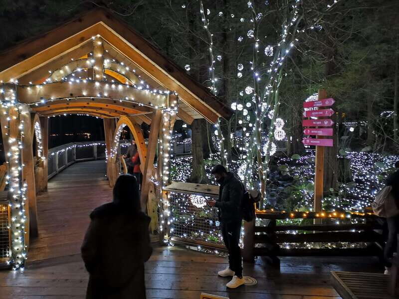 Vancouver: Christmas Tour with Light Festival Entrance - Who Should Consider This Tour?