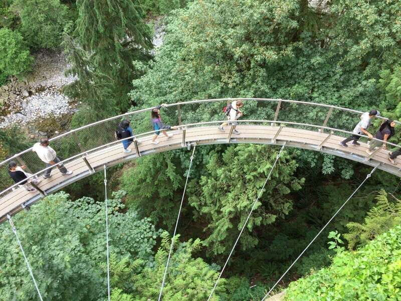 Vancouver: City and Mountain Adventure with Grouse Mountain - Key Points