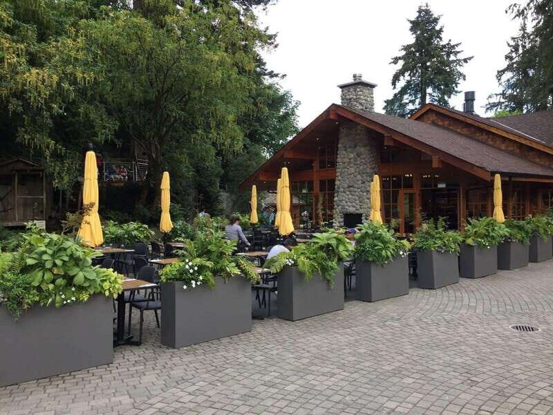Vancouver: City and Mountain Adventure with Grouse Mountain - Practical Tips for Travelers