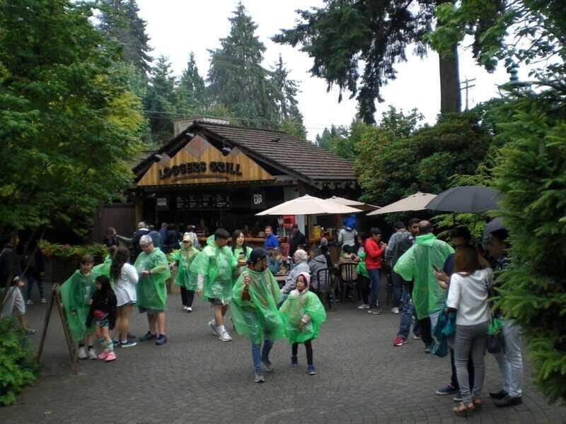 Vancouver: City and Mountain Adventure with Grouse Mountain - FAQs