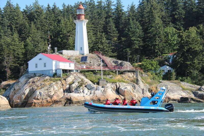Vancouver: City and Seal Boat Tour - Practical Details
