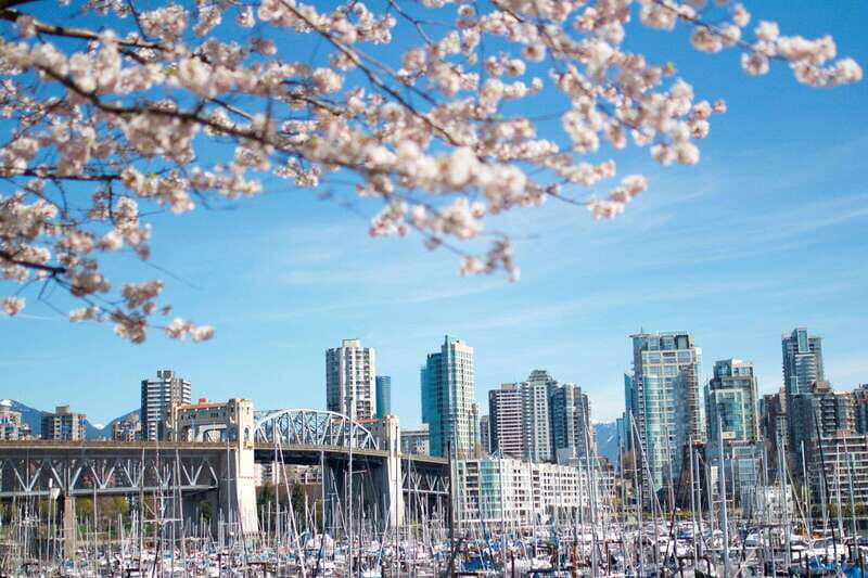 Vancouver: City & Granville Island Sightseeing Trolley Tour - What to Expect from the Experience