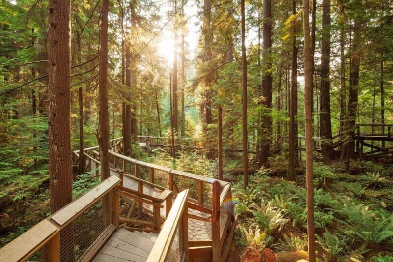 Vancouver: City Highlights Bus Tour - Key Points