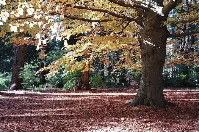 Vancouver City Highlights Explorer Private Tour - An In-Depth Look at the Tour Experience