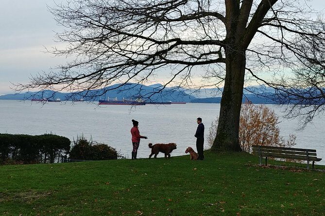 Vancouver City Highlights Explorer Private Tour - The Sum Up: Who Will Love This Tour?