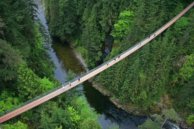 Vancouver City Sightseeing Tour: Capilano Suspension Bridge & Vancouver Lookout - What Youll Experience on the Tour