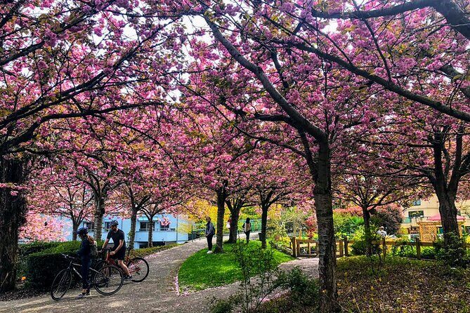 Vancouver City Tour with Cherry Blossom Festival Private - A Closer Look at the Itinerary