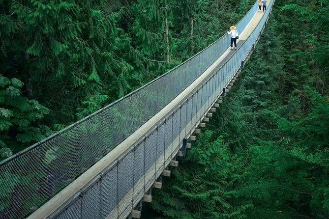 Vancouver City Tour With Stanley, Grouse Mountain & Capillano Suspension Private - What Travelers Are Saying
