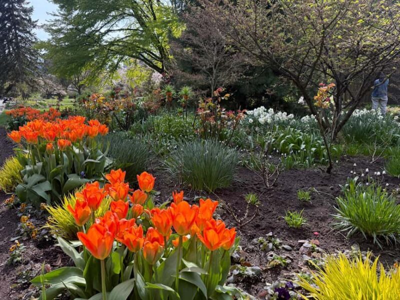 Vancouver City Tour+VipCar+Stanley Park+ChinaTown/SmallGroup - Final Thoughts