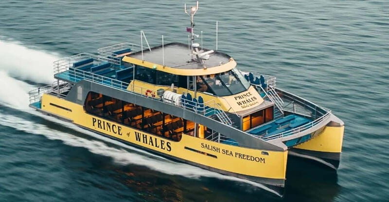 Vancouver: Covered Whale Watching Adventure with Free Photos - The Guides and Educational Content