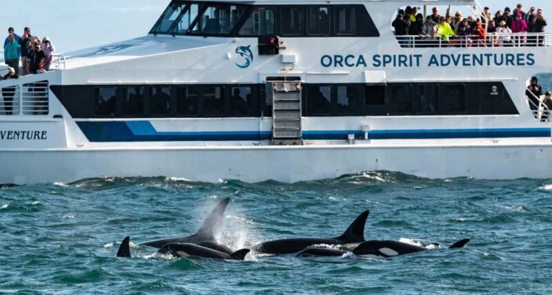 Vancouver: Day Trip to Victoria Seaplane with Whale Watching - Practical Details: What You Need to Know