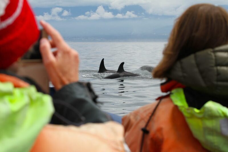 Vancouver: Day Trip to Victoria Seaplane with Whale Watching - The Sum Up