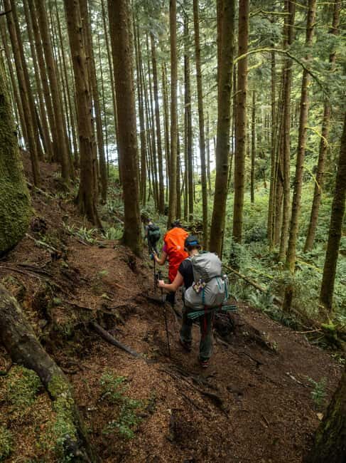 Vancouver: Guided Hiking Highlights at Grouse & Lynn Canyon - The Final Verdict: Is This Tour Right for You?