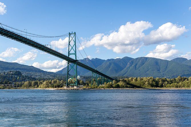 Vancouver Half-Day Whale Watching Adventure with Free Photos - Who Will Love This Tour?