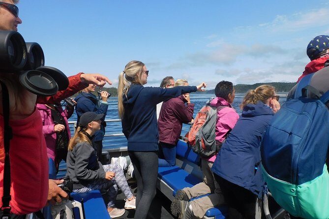 Vancouver Island Half-Day Whale Watching Tour - Telegraph Cove - The Onboard Experience