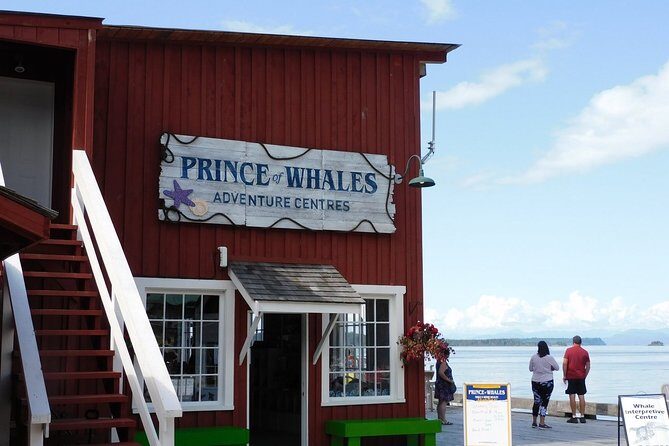 Vancouver Island Half-Day Whale Watching Tour - Telegraph Cove - Value for Money