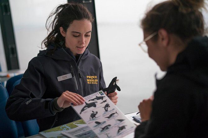 Vancouver Island Half-Day Whale Watching Tour - Telegraph Cove - Practical Considerations