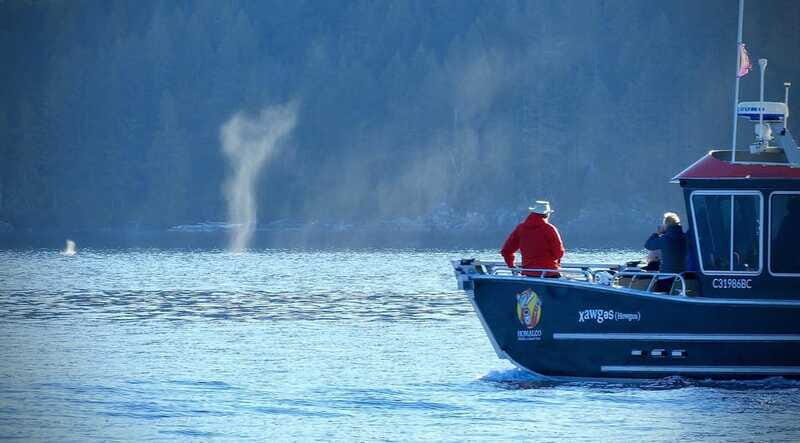 Vancouver Island: People Water Land - Indigenous & Whales - Who Should Consider This Tour?