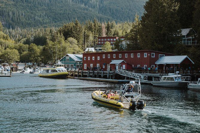 Vancouver Island Zodiac Whale Watching Adventure - Telegraph Cove - Vancouver Island Zodiac Whale Watching Adventure - Telegraph Cove: A Detailed Review