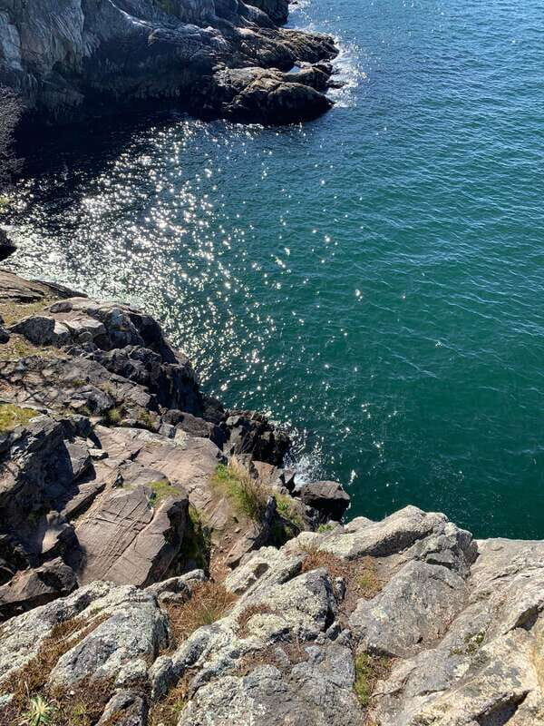 Vancouver: Lighthouse Park Hike - Introduction