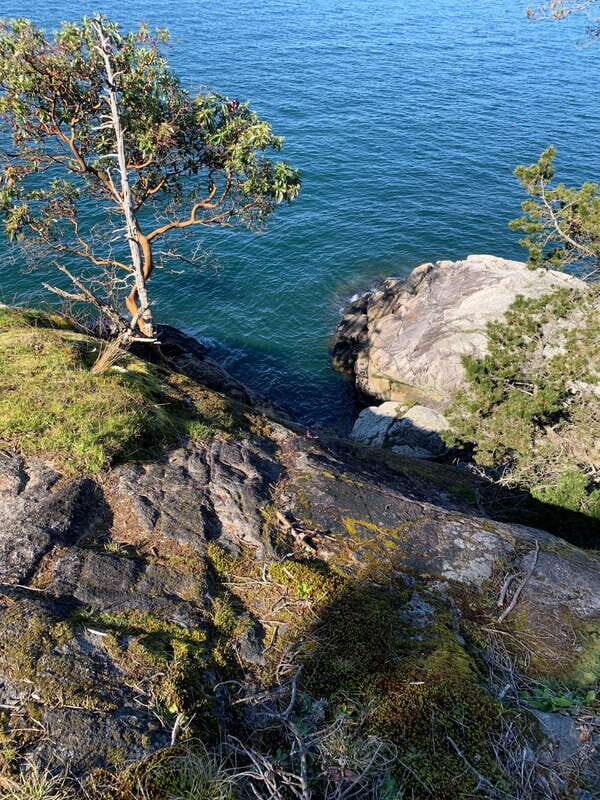 Vancouver: Lighthouse Park Hike - Key Points