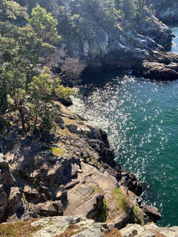Vancouver: Lighthouse Park Hike - Authentic Experiences from Reviews