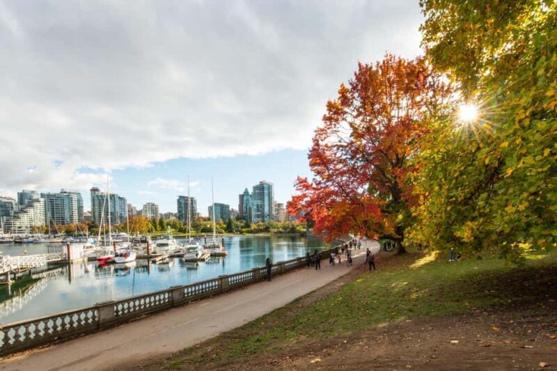 Vancouver Lookout Private Tour with Skip-the-line Tickets - Key Points