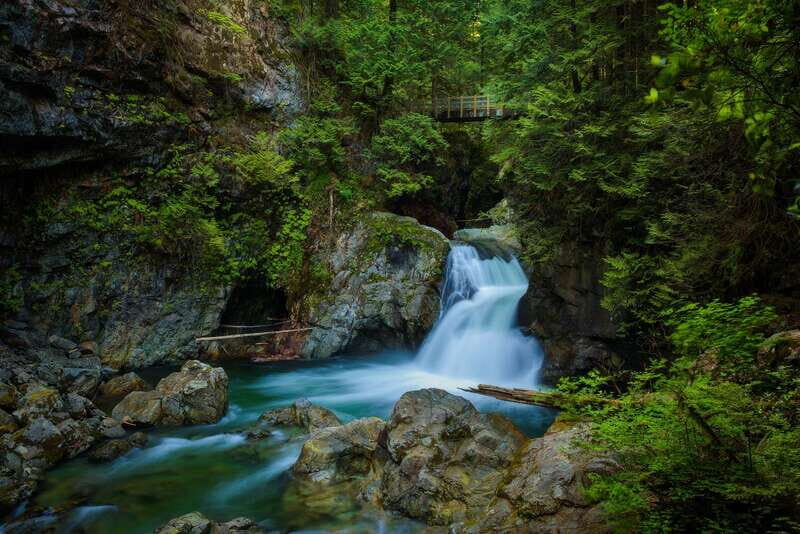 Vancouver: Lynn Valley Suspension Bridge & Nature Walk Tour - Exploring the Details of the Tour