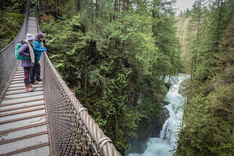Vancouver: Lynn Valley Suspension Bridge & Nature Walk Tour - Why This Tour Works