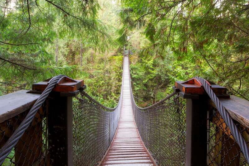Vancouver: Lynn Valley Suspension Bridge & Nature Walk Tour - Final Thoughts