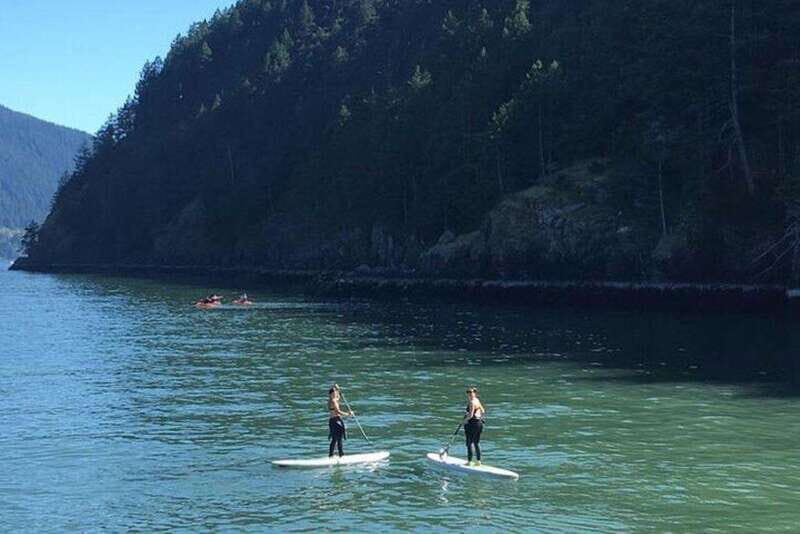 Vancouver: Morning Kayak & Seal Cruise - An Authentic Look at the Vancouver Kayak & Seal Cruise
