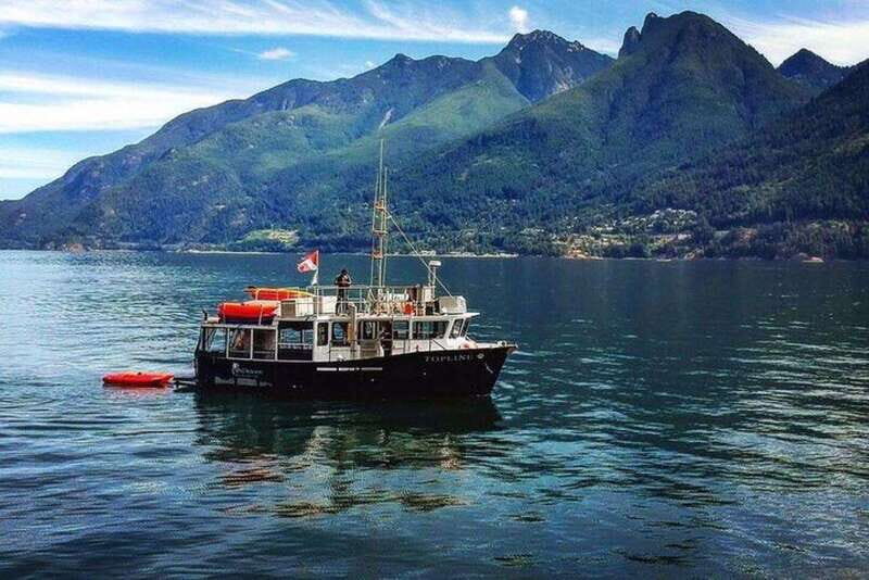 Vancouver: Morning Kayak & Seal Cruise - Who Should Consider This Tour?