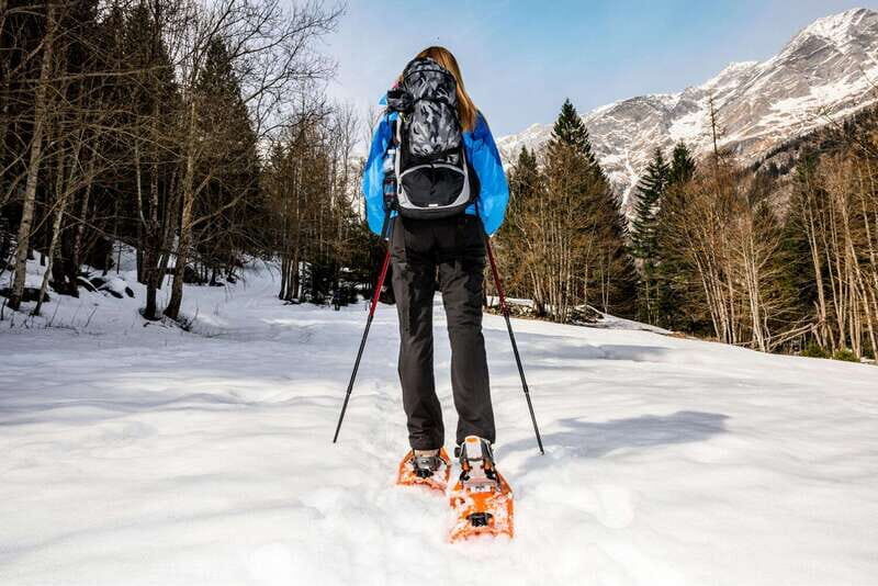 Vancouver: Mount Seymour/ Winter Hike/ Snowshoeing - What to Expect from the Mount Seymour Snowshoe Tour
