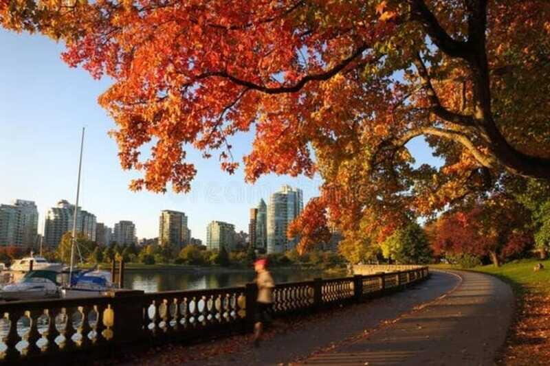 Vancouver : Must-See Attractions Walking Tour With A Guide - The Sum Up
