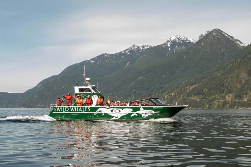 Vancouver: Open-air Whale Watching Tour, Granville Island - The Wildlife Encounters: A Closer Look