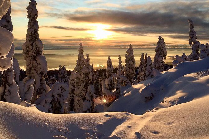 Vancouver Panoramic View Hike - Experience Overview: A Close Look at the Tour