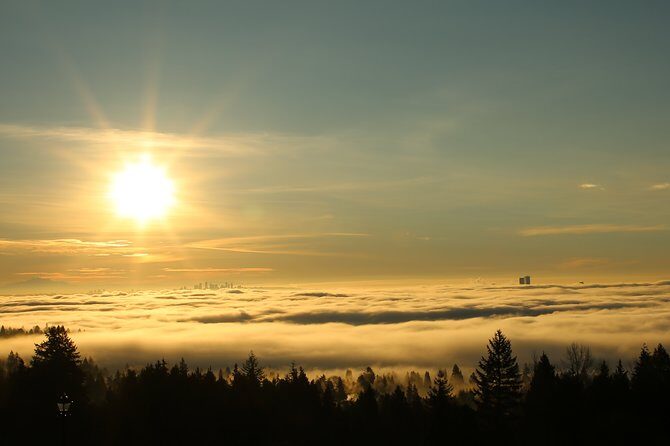Vancouver Panoramic View Hike - What the Reviews Say