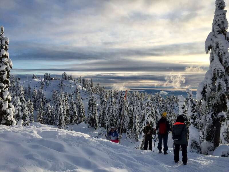 Vancouver: Panoramic View Hiking Tour - Key Points