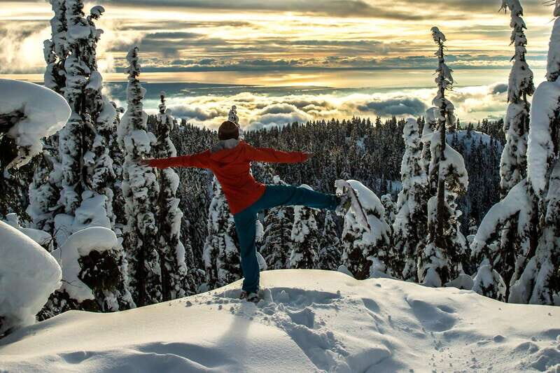 Vancouver: Panoramic View Hiking Tour - The Value of This Tour