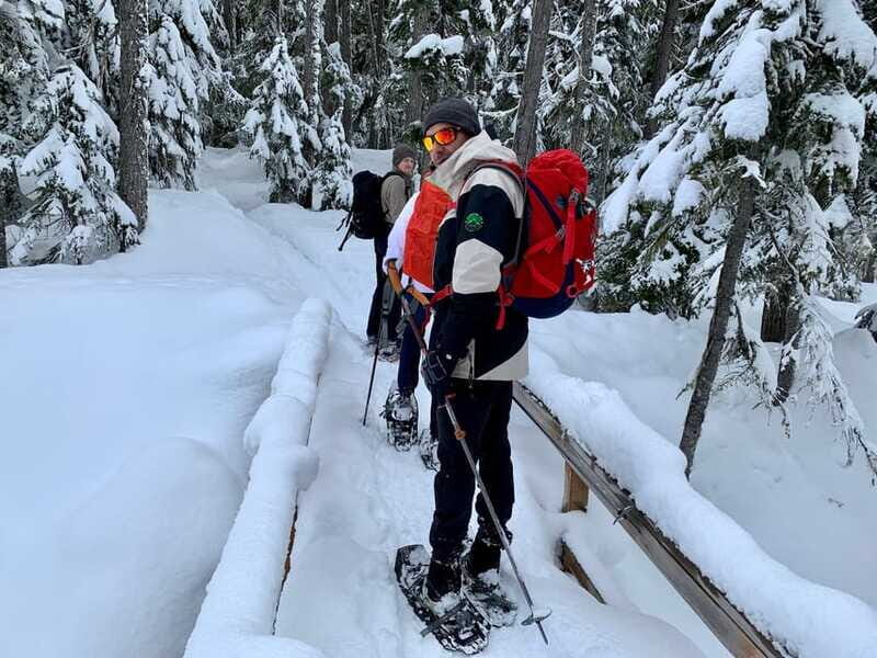 Vancouver: Panoramic View Hiking Tour - The Practical Details
