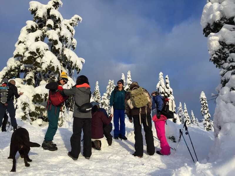 Vancouver: Panoramic View Hiking Tour - Who Will Love This Tour?