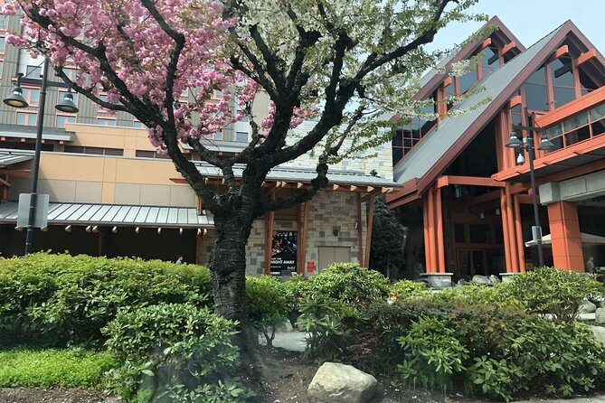 Vancouver Perfect Day Tour Grouse Mountain`& Capilano Suspention Bridge Private - Exploring Vancouver’s Cultural Heart: Chinatown and Stanley Park
