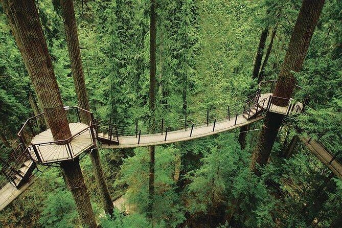 Vancouver Perfect Day Tour Grouse Mountain`& Capilano Suspention Bridge Private - Comfort, Convenience, and Value
