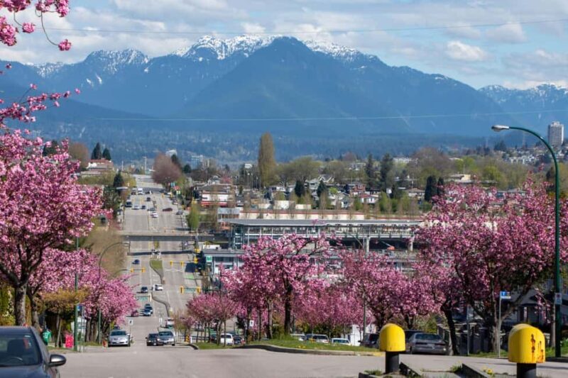 Vancouver: Private City Walking Tour with Seal Boat Tour - Key Points