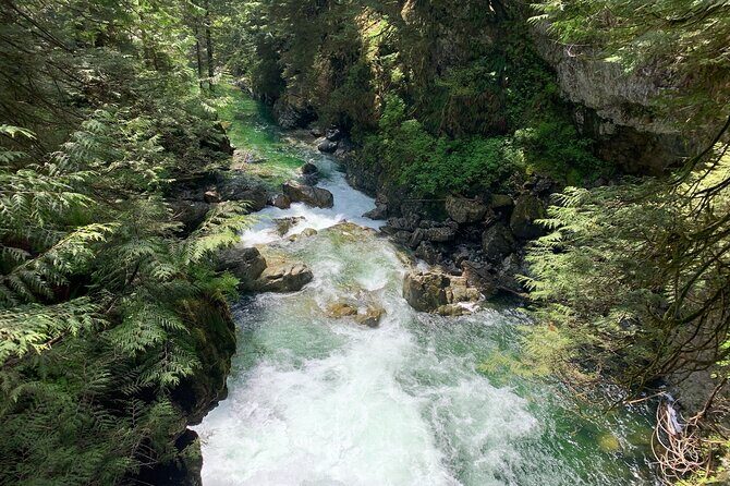 Vancouver Rainforest Hike with Waterfalls, Suspension Bridge, Old Growth Forest - An In-Depth Look at the Vancouver Rainforest Hike Experience