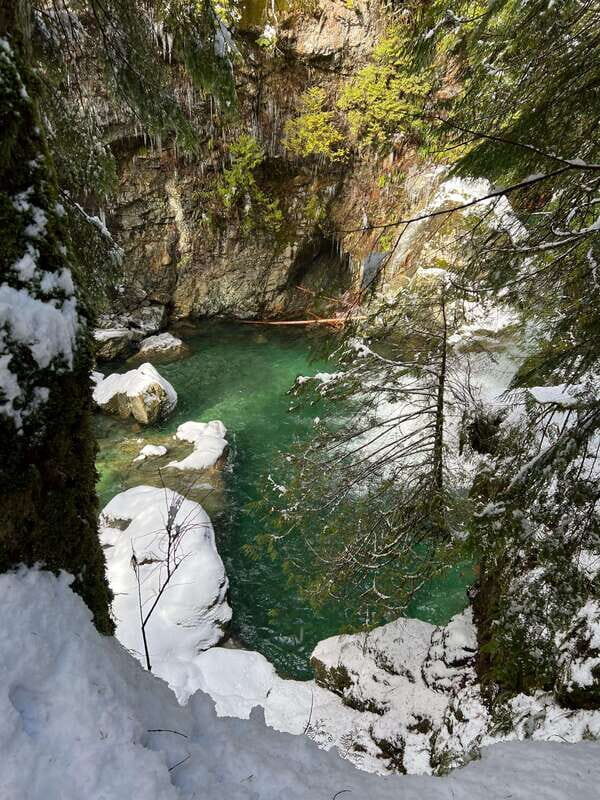 Vancouver: Rainforest Waterfall Hike and Suspension Bridge - Key Points