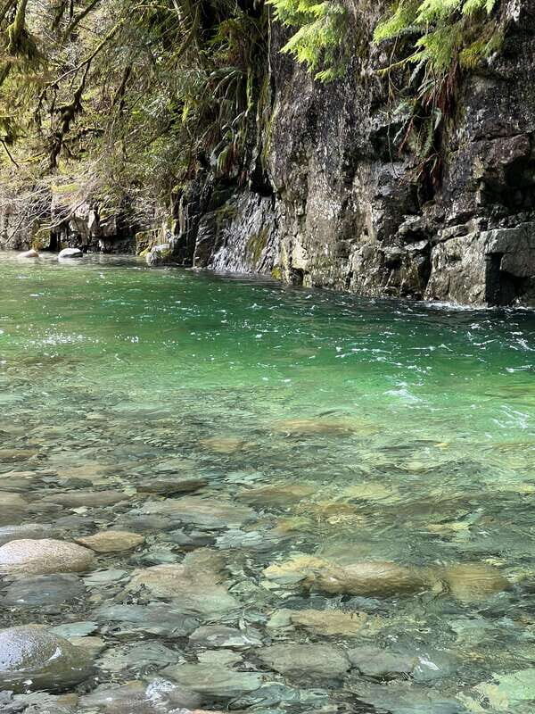 Vancouver: Rainforest Waterfall Hike and Suspension Bridge - Who Will Love This Tour?