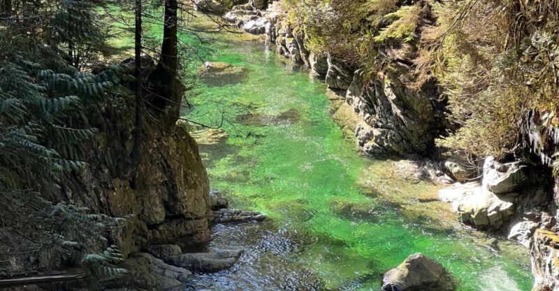 Vancouver: Rainforest Waterfall Hike and Suspension Bridge - Final Thoughts